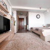 Tomis PLUS STUDIO Premium
